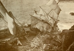Kertenkele üzerinde harap, c1930. by Unbekannt