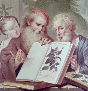Hortus Cliffortianus