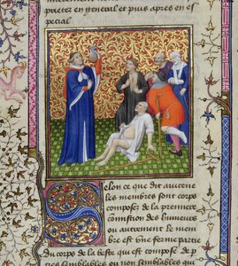 Ms.251 f.54v Hastalarıyla birlikte bir doktor, Des Proprietez des Choses, c.1415 by Unbekannt Unbekannt