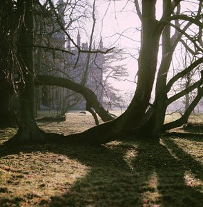 Kuzey Cephesi Görünümü, Corsham Court, Wiltshire by Unbekannt Unbekannt