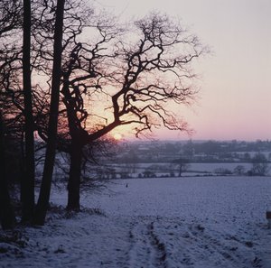 Karda kış sahnesi, Hockley, Essex by Unbekannt Unbekannt