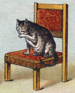 Sandalyede bir kedi. "Alphabet de ma petite fille" gravürü. Bernardin-Bechet ve Fils, kitapçı-yayıncılar, Paris, 1895 civarı. Tuval üzerine kırılmaz albüm. Bibliotheque des Bebes. 12 sayfa. Bir okuma yöntemi ve açıklayıcı bir abeceda içeren albüm by Unbekannt
