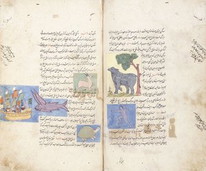 Farsça el yazması "Aja"ib al-Makhluqat ve Ghara"ib al-Maujudat