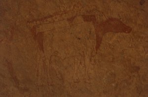 Cezayir, Sahra Çölü, Tassili-n-Ajjer Ulusal Parkı, Sefar bölgesi, boğayı tasvir eden kaya resmi.
