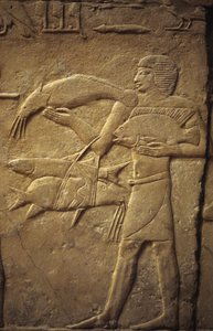 Eski Mısır: Saqqarah (veya Saqqara veya Sakkarah): Eski İmparatorluğun nekropolü, soyluların mezarı. Bir balıkçıyı temsil eden kabartmaların detayı.