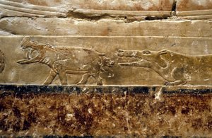 Eski Mısır: Saqqarah (veya Saqqara veya Sakkarah): Ti