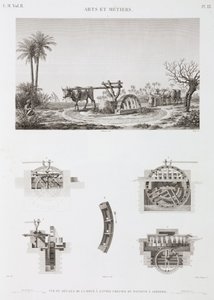 Animal Power Hayvan gücüyle çalışan sulama, Mısır, c 1798 by Unbekannt