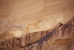 Hayvan figürleri, Navajo sanatçılarının kaya resimleri, Canyon de Chelly Ulusal Anıtı, Navajo Indian Reservation, Arizona, ABD by Benjamin Baud