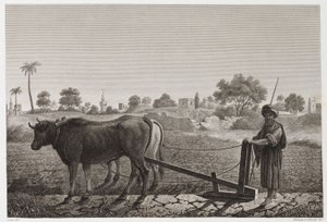 Tarla Tarımı, Çiftçilik Öküzlü Çiftçilik, Mısır, c 1798 by Unbekannt