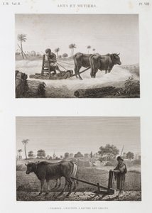 Tarla Tarımı, Çiftçilik Harman makinesi ve saban, Mısır, c 1798 by Unbekannt