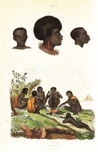 Avustralya Aborjinleri ve Waigeo, Batı Papua1834-1839 yerlilerinin başkanları (gravür) by Unbekannter Künstler