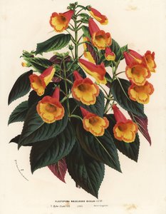  by Unbekannter Künstler