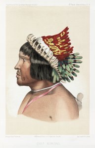 Bororo şefi, Güney Amerika, 1843-1847 dolayları by Unbekannt