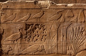 Bitki ve hayvanların kabartma tasvirleriyle Thutmosis III Botanik Bahçesi, Karnak Tapınağı, Luksor, Teb, Mısır, Afrika (fotoğraf) by Unbekannter Künstler