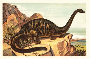 Brontosaurus excelsus, soyu tükenmiş devasa dörtlü sau1908 türleri (litografi) by Unbekannter Künstler