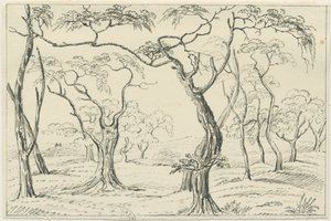 Cannock Chase: kalem ve karakalem, nd [?19th Century] by Unbekannt