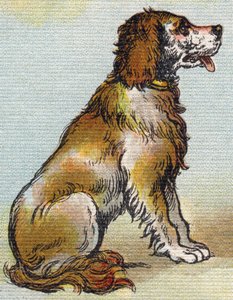 Köpek. "Alphabet de ma petite fille" gravürü. Bernardin-Bechet ve Fils, kitapçı-yayıncılar, Paris, 1895 civarı. Tuval üzerine kırılmaz albüm. Bibliotheque des Bebes. 12 sayfa. Bir okuma yöntemi ve açıklayıcı bir abecedary içeren albüm. Karartma: 29,5 by Unbekannt
