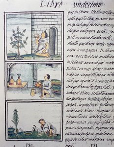 Yenilebilir bitkiler, Florentine Codex