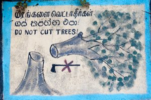 Çevresel koruma; boyalı işaret; “””Ağaçları kesmeyin”””””, kesilen bir ağacı ve üzeri çizili bir baltayı tasvir ediyor; Nuwara Eliya; Sri Lanka; Asya by Unbekannt
