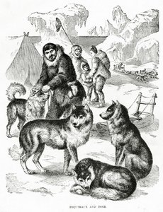 Esquimaux ve Köpekler. 1902 (taş) by Unbekannt