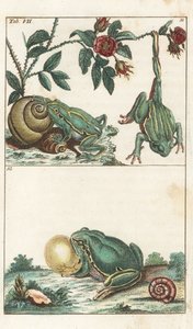  by Unbekannter Künstler