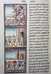 İspanyol fethinden sonra tüy işleme, Florentine Codex
