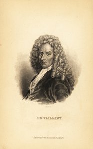 Francois le Vaillant veya Levaillant, Fransız yazar, kaşif, doğa bilimci ve kuş bilimci by Unbekannt