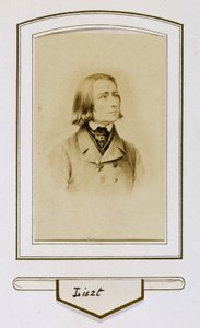 Franz Liszt gençken by Unbekannter Künstler