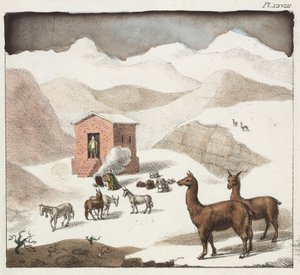 Guanacos, Mağaralar Vadisi, And Dağları, Şili by Unbekannter Künstler