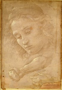 Giorgio Vasari