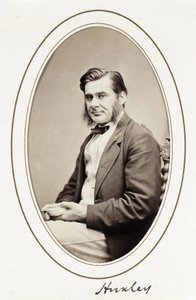 Huxley', yaklaşık 1865 by Unbekannt