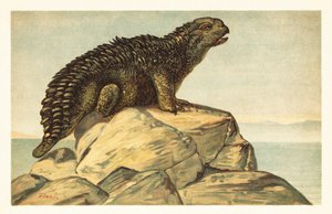 Hylaeosaurus armatus, soyu tükenmiş otçul ankylosaurian dinozor 1908 (litografi) by Unbekannter Künstler