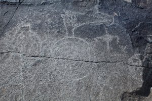 Hint Petroglifleri - Hayvan ve Sembolik Temsil - Petroglyph Ulusal Anıtı - Albuquerque, New Mexico, ABD (ABD) by William M. Timlin