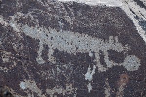 Hayvanları temsil eden Hint Petroglifleri - Petroglyph Ulusal Anıtı - Albuquerque, New Mexico, ABD (ABD) by William M. Timlin
