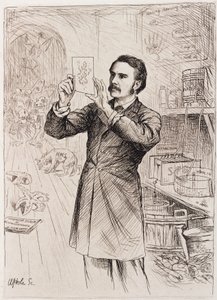 James Cossar Ewart, zoolog by Unbekannt