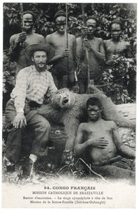 Aslan başlı kinosefalik maymun, c.1910 (lito) by Unbekannt