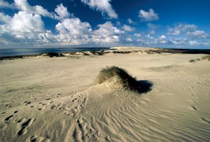 Litvanya, Klaipeda, Curonian Spit, Nida, Prusya Sahra denilen hareketli kum tepeleri by William M. Timlin