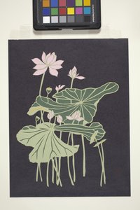 Lotus (çok renkli kesilmiş kağıt) by Unbekannter Künstler