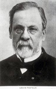 Louis Pasteur, Fransız kimyager ve mikrobiyolog, 1885 civarı by Unbekannter Künstler