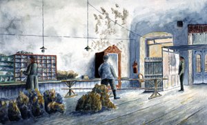 Postanede posta tasnifi by Unbekannter Künstler
