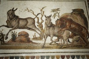Hayvan dövüşünün mozaiği: iki gece primagresine saldıran kaplan. II s AD/Musee d