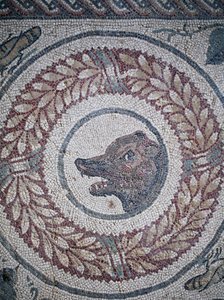 Peristil mozaiği. Bir ayının kafasını temsil eden detay. 3. - 4. yüzyıl. Casale, Sicilya'daki Roma Villası. UNESCO Sitesi. by William M. Timlin