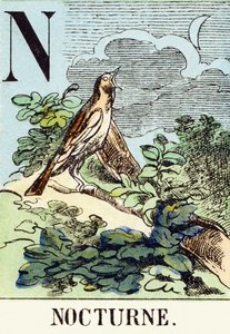 N : Nocturne - Avcılık Alfabesi, 1890 dolayları (gravür) by Unbekannt