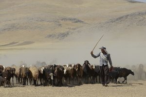 Tamar ve Ashkhaneh arasındaki göçebe çadırları, İran 2022 (fotoğraf) by Unbekannter Künstler