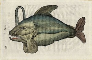  by Unbekannter Künstler