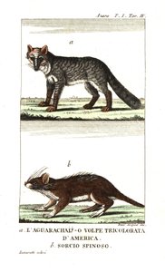  by Unbekannter Künstler