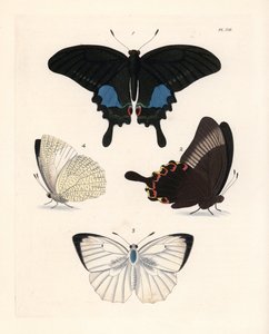  by Unbekannter Künstler