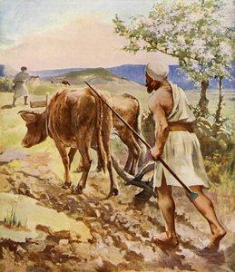 Öküzle çekilen sabanla çalışan çiftçi by Unbekannter Künstler