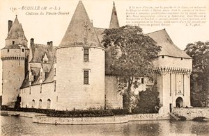 Kartpostal / Chateau de Plessis Bourre / Ecuille / Maine et Loire / Pays de Loire / Fransa by William M. Timlin