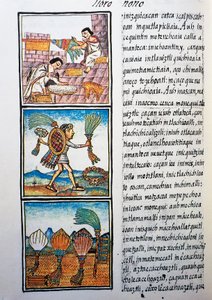 Tüylerin işlenmesi, Nahuati dilinde metin, Bernardino de Sahagun tarafından Florentine Codex olarak da bilinen Yeni İspanya